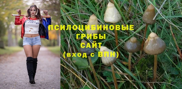 хмурый Богданович