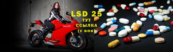 хмурый Богданович