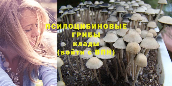 дурь Богородицк