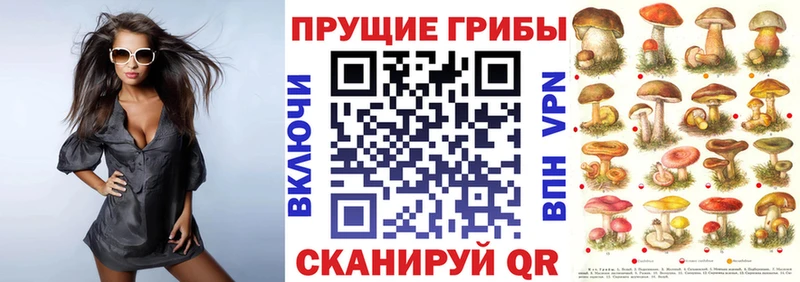 закладки  Ува  Галлюциногенные грибы Psilocybe 